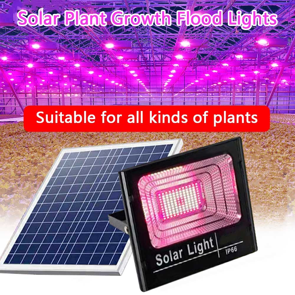 Outdoor Power And Plant - Panel słoneczny oświetlenie do uprawy reflektor