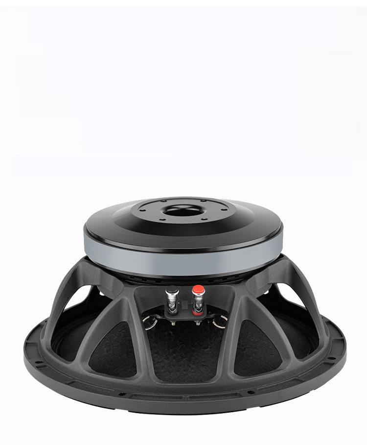 Wysokiej jakości 12-calowe gło – Quality Outdoor Power recenzja i cena
