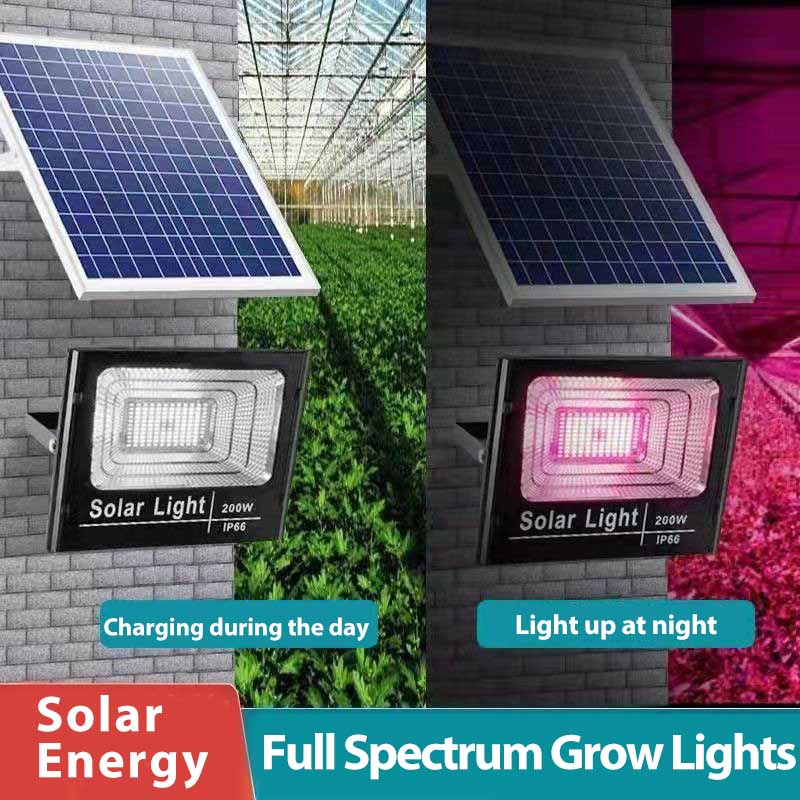 Panel słoneczny oświetlenie do – Outdoor Power And Plant recenzja i cena