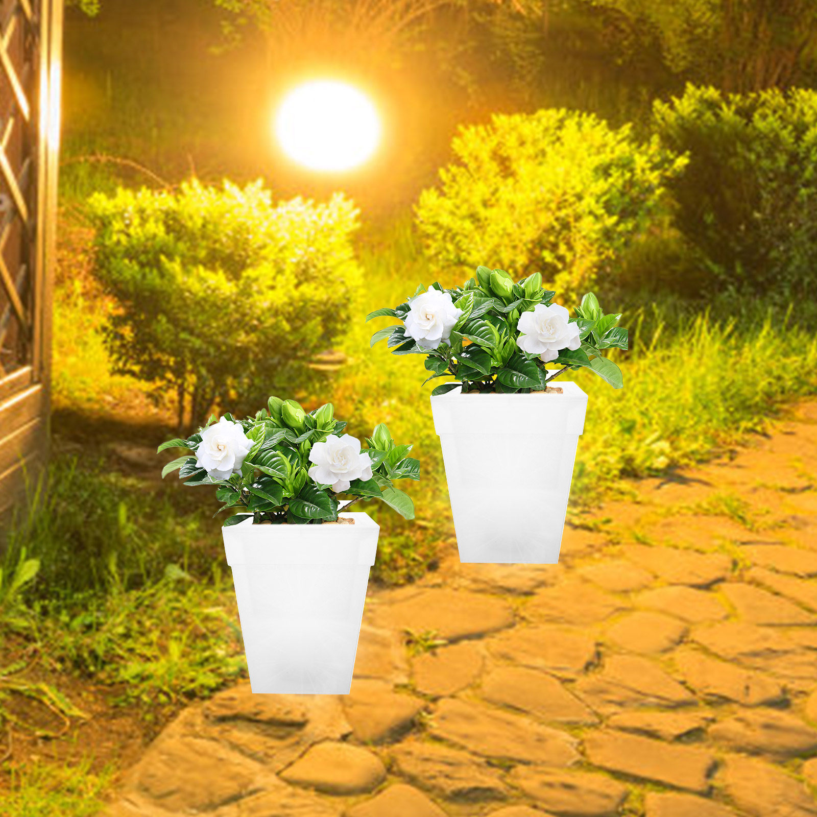 Świecąca kwadratowa doniczka n – Outdoor Power And Plant recenzja i cena