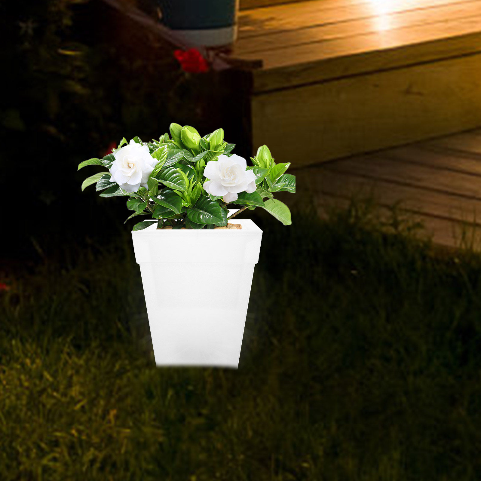 Świecąca kwadratowa doniczka n – Outdoor Power And Plant recenzja i cena